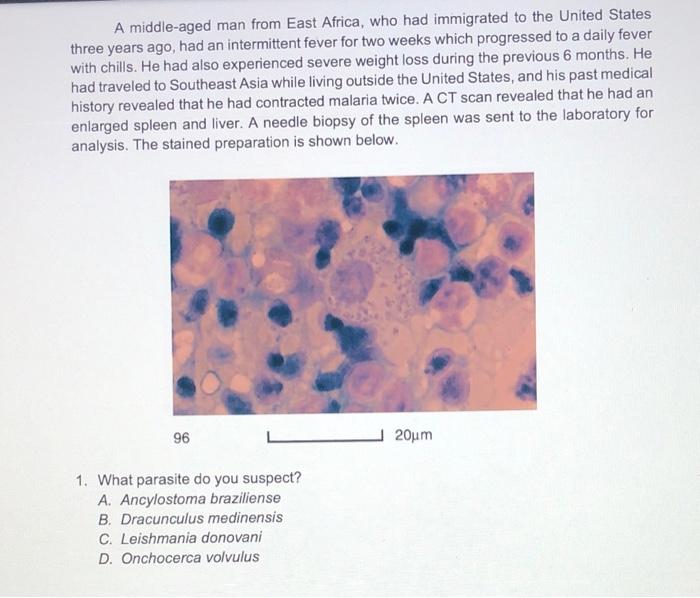 A Middle Aged Man From East Africa Who Had Immigrated To The United States Three Years Ago Had An Intermittent Fever F 1