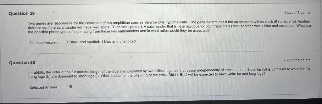 0 Out Of 1 Points Question 29 Two Genes Are Responsible For The Coloration Of The Amphibian Species Salamandris Hypothe 1