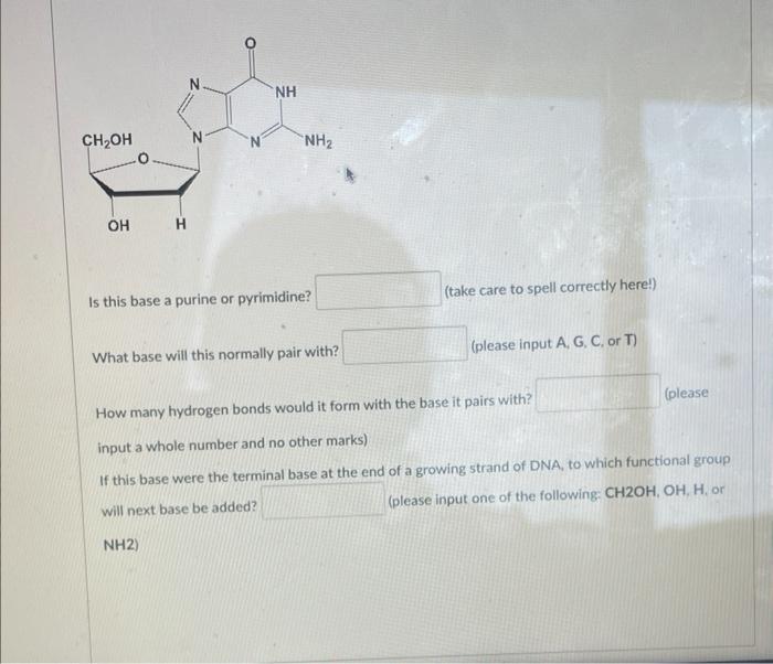 Ch Oh Oh H Nh Nh Is This Base A Purine Or Pyrimidine Nh2 What Base Will This Normally Pair With Take Care To Spell 1