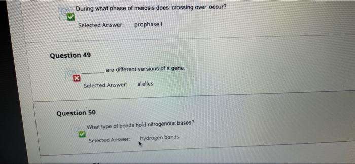During What Phase Of Meiosis Does Crossing Over Occur Selected Answer Prophase I Question 49 X Are Different Version 1