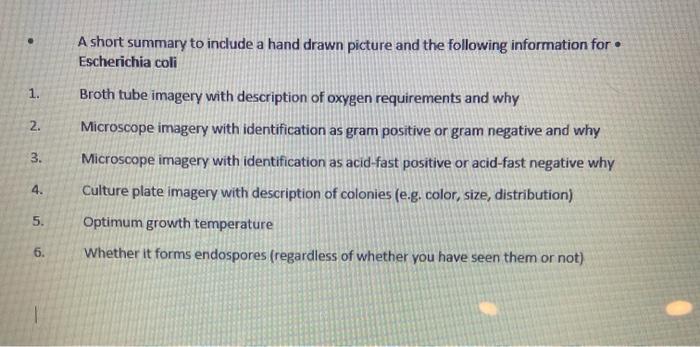 1 2 3 456 A Short Summary To Include A Hand Drawn Picture And The Following Information For Escherichia Coli Broth T 1