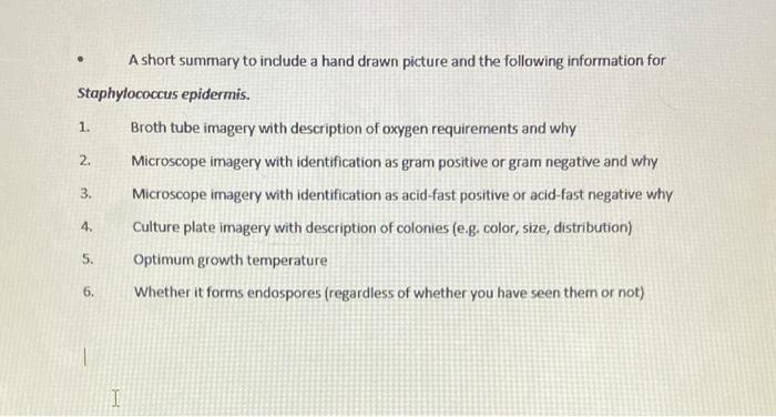 A Short Summary To Include A Hand Drawn Picture And The Following Information For Staphylococcus Epidermis 1 2 3 4 1