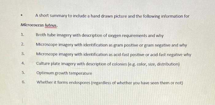 A Short Summary To Include A Hand Drawn Picture And The Following Information For Micrococcus Luteus Broth Tube Imagery 1
