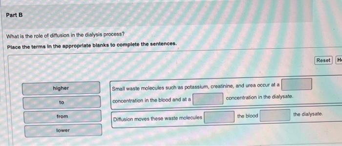 Part B What Is The Role Of Diffusion In The Dialysis Process Place The Terms In The Appropriate Blanks To Complete The 1