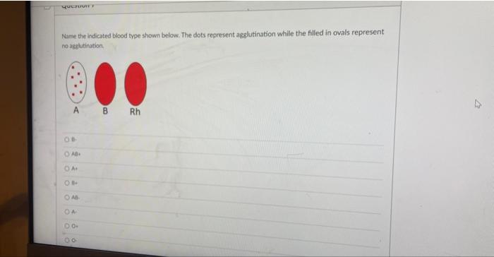 Quezovity Name The Indicated Blood Type Shown Below The Dots Represent Agglutination While The Filled In Ovals Represen 1