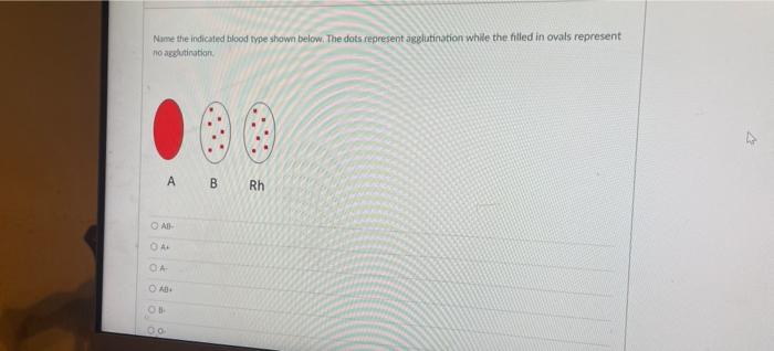 Name The Indicated Blood Type Shown Below The Dots Represent Agglutination While The Filled In Ovals Represent No Agglu 1