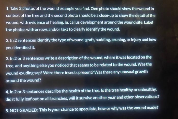 Purpose In This Assignment You Will Find Examples Of Wound Healing In Trees Exploring Tree Wounds Might Not Seem Direct 2