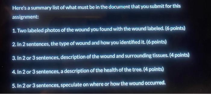 Purpose In This Assignment You Will Find Examples Of Wound Healing In Trees Exploring Tree Wounds Might Not Seem Direct 3