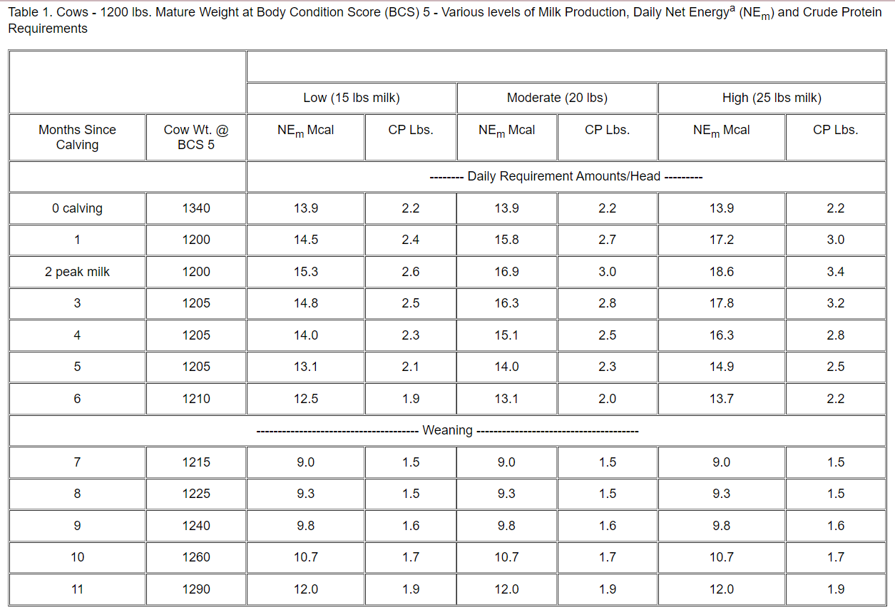 Find The Requirements For A Mature Beef Cow At Bcs 5 Giving Moderate Milk Production That Is In The 5th Month Since Calv 1