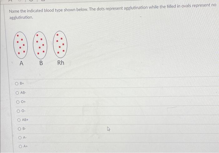 Name The Indicated Blood Type Shown Below The Dots Represent Agglutination While The Filled In Ovals Represent No Agglu 1