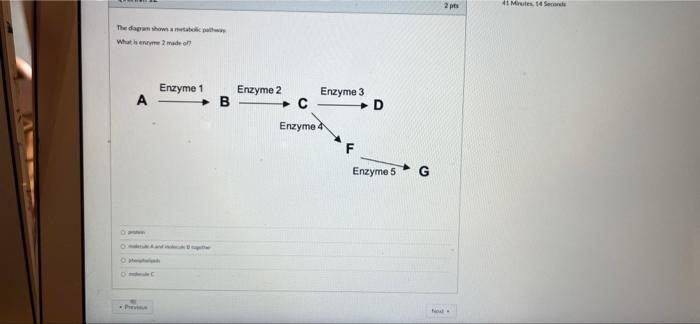 Molecule A And Molecule B Together Phospholipids Molecule C 2
