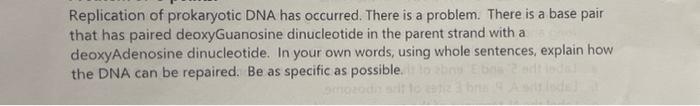 Replication Of Prokaryotic Dna Has Occurred There Is A Problem There Is A Base Pair That Has Paired Deoxyguanosine Din 1