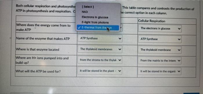 Both Cellular Respiration And Photosynthesis Involve Steps That Make Atp This Table Compares And Contrasts The Producti 2
