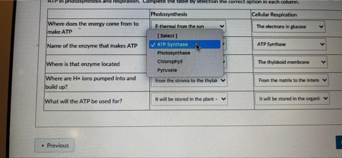 Both Cellular Respiration And Photosynthesis Involve Steps That Make Atp This Table Compares And Contrasts The Producti 4