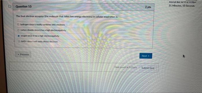 N Question 10 The Final Electron Acceptor The Molecule That Takes Low Energy Electrons In Cellular Respiration Is O H 1