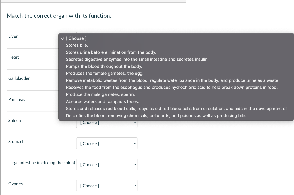 Match The Correct Organ With Its Function Liver Heart Gallbladder Pancreas Spleen Stomach Choose Stores Bile Stor 1