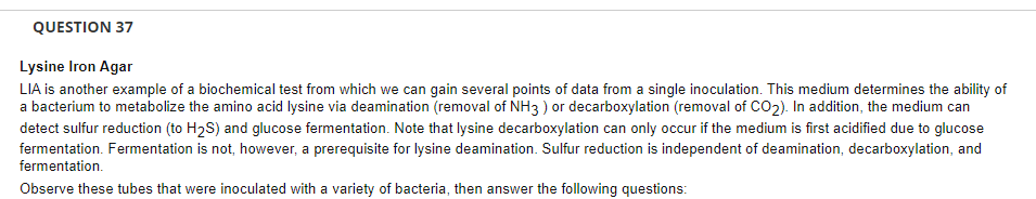 Question 37 Lysine Iron Agar Lia Is Another Example Of A Biochemical Test From Which We Can Gain Several Points Of Data 1