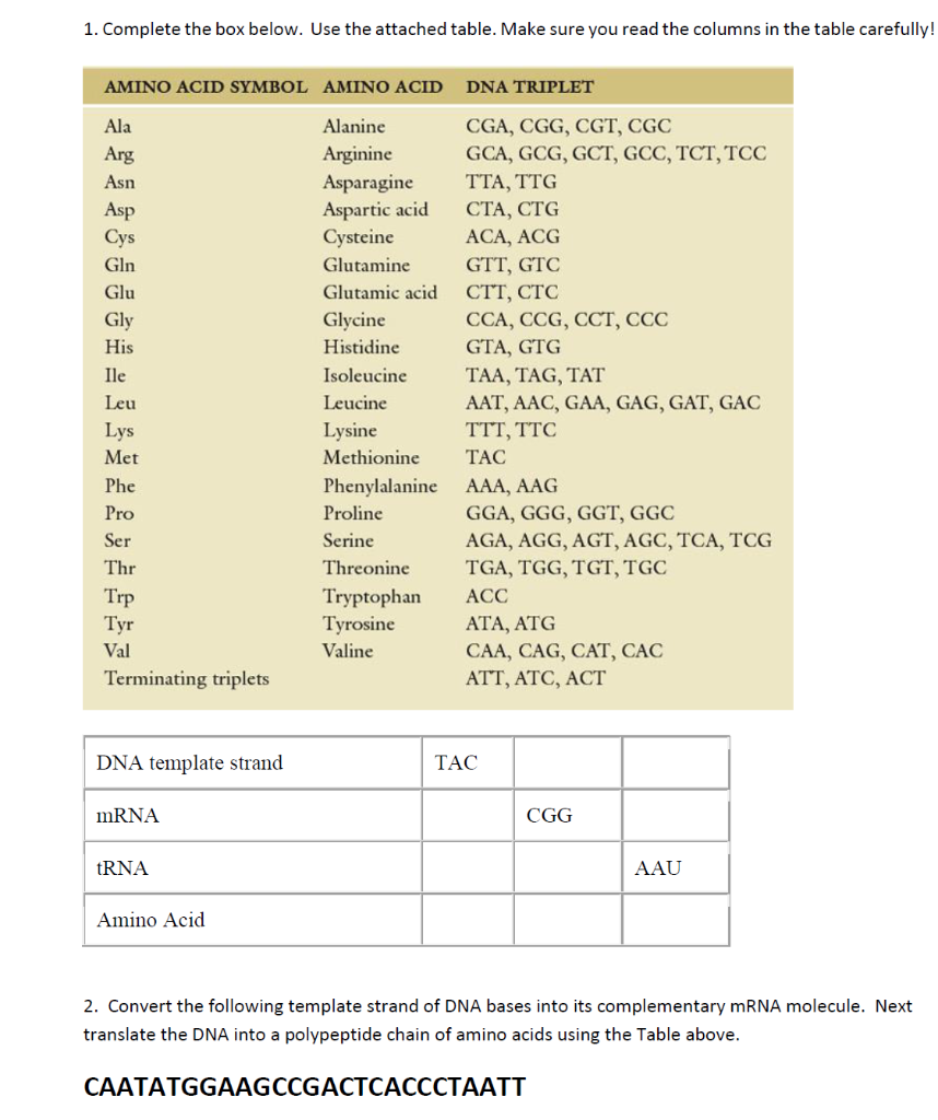 1 Complete The Box Below Use The Attached Table Make Sure You Read The Columns In The Table Carefully Amino Acid Sym 1