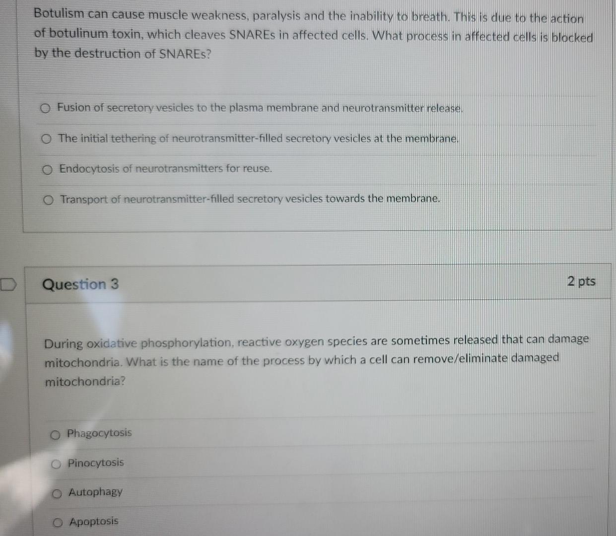 D Botulism Can Cause Muscle Weakness Paralysis And The Inability To Breath This Is Due To The Action Of Botulinum Toxi 1