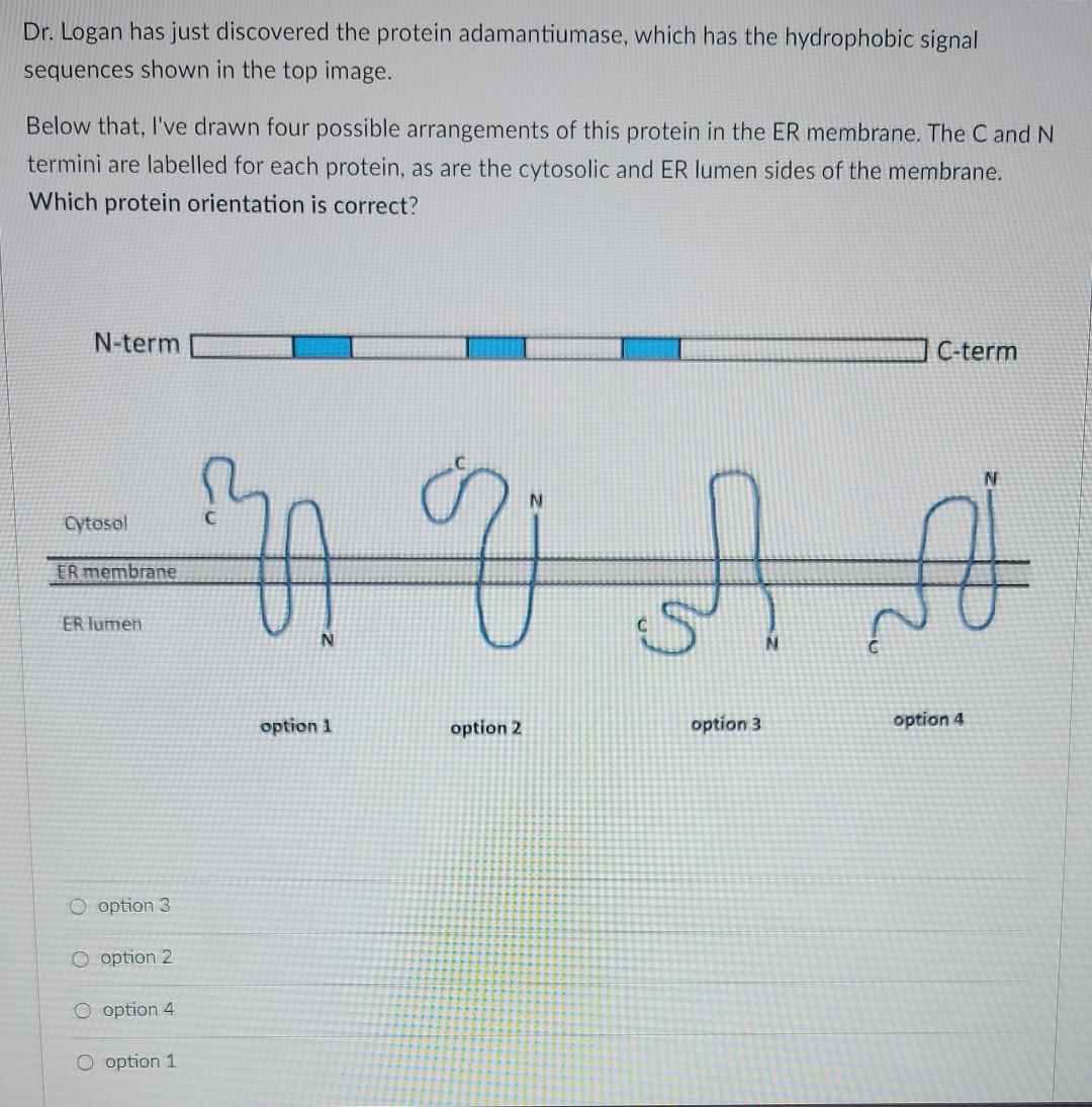 Dr Logan Has Just Discovered The Protein Adamantiumase Which Has The Hydrophobic Signal Sequences Shown In The Top Ima 1