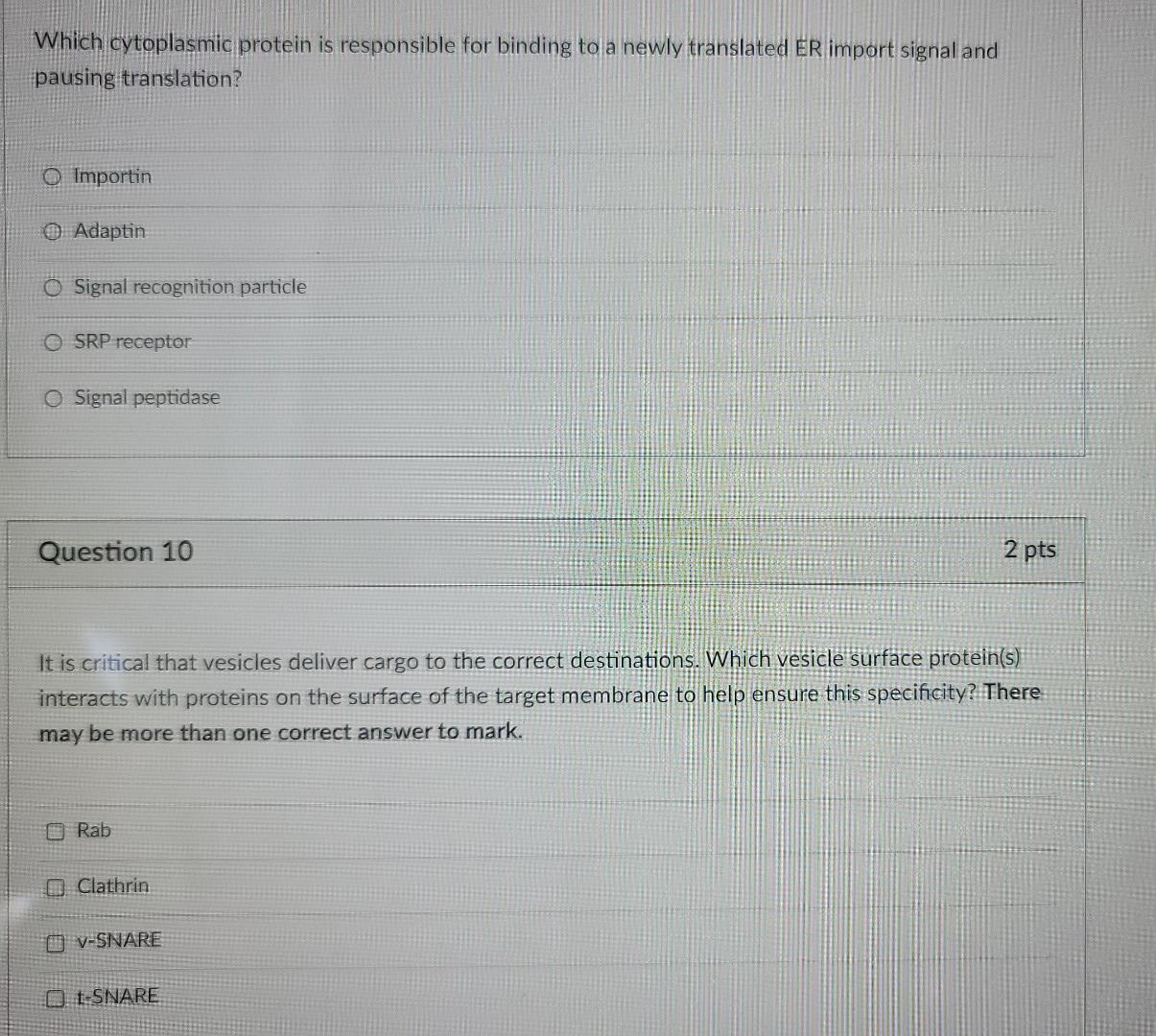 Which Cytoplasmic Protein Is Responsible For Binding To A Newly Translated Er Import Signal And Pausing Translation O I 1