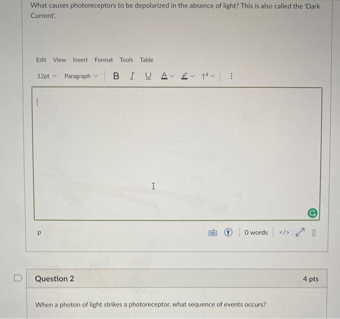 What Causes Photoreceptors To Be Depolarized In The Absence Of Light This Is Also Called The Dark Current Edit View 1