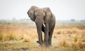 Assignment 8 You Are Now Close To Completing An Entire Semester Of Human Biology We Have Discussed Many Topics Which 1