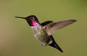 Assignment 8 You Are Now Close To Completing An Entire Semester Of Human Biology We Have Discussed Many Topics Which 2