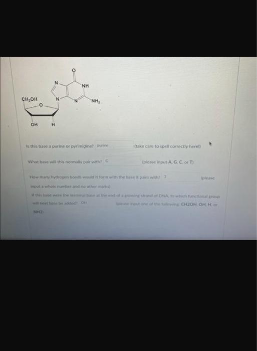 Question 5 1 Pts If A Molecule Of Double Stranded Dna Contains 18 Guanine What Percentage Of Adenine Will It Contain 3