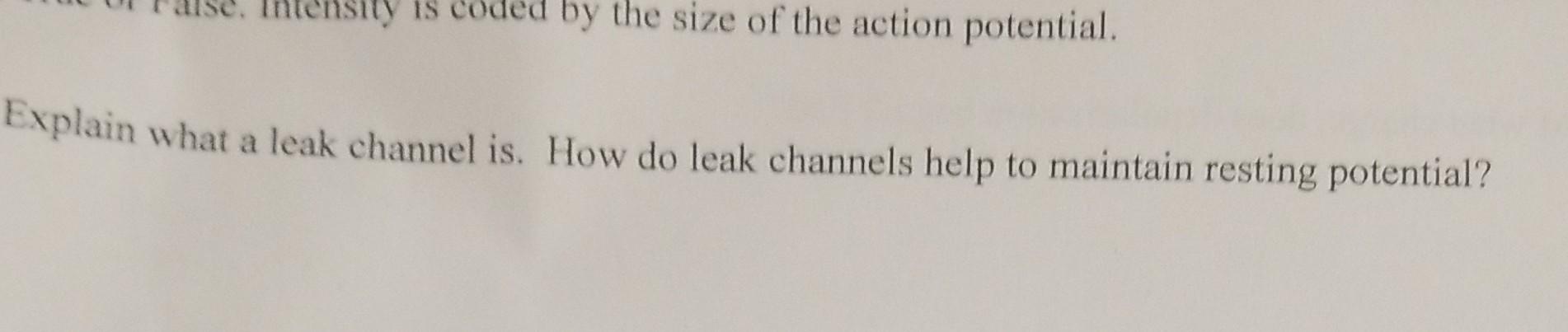 Tensity Is By The Size Of The Action Potential Explain What A Leak Channel Is How Do Leak Channels Help To Maintain Re 1