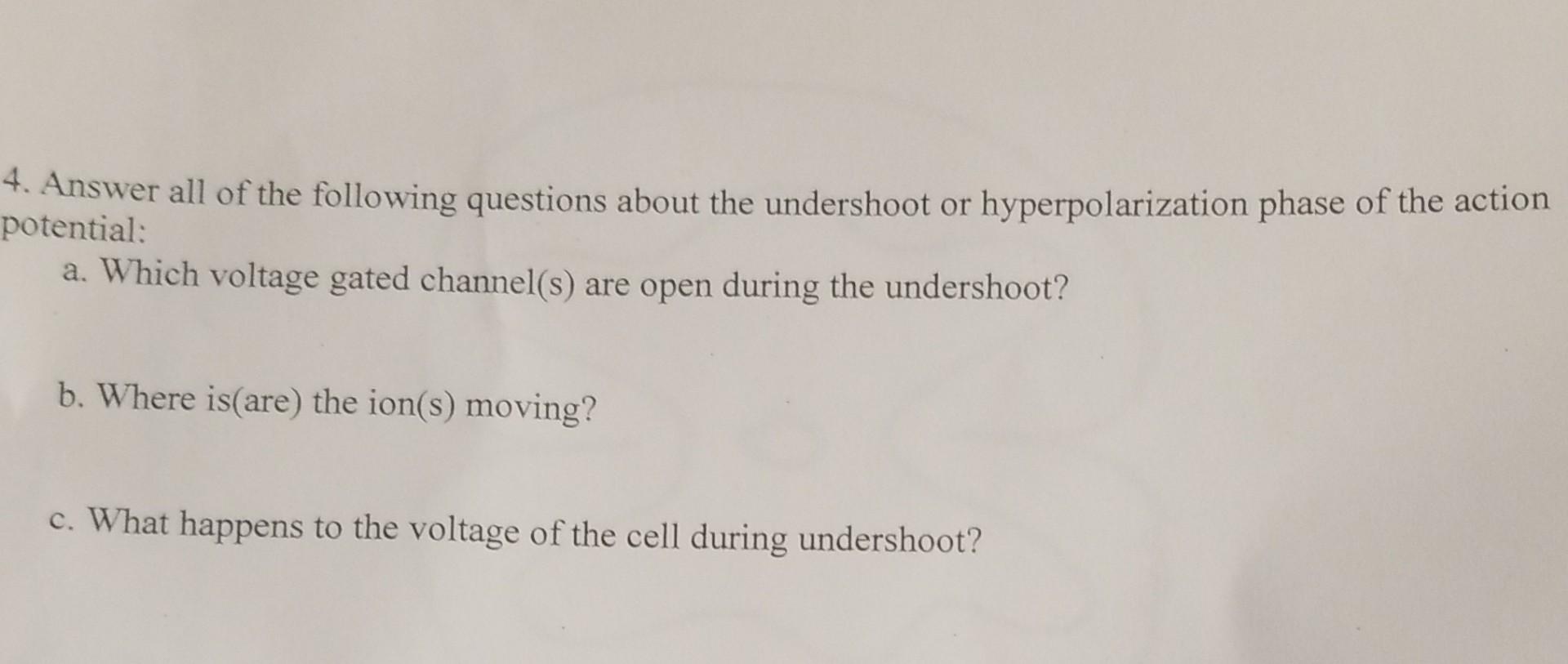 4 Answer All Of The Following Questions About The Undershoot Or Hyperpolarization Phase Of The Action Potential A Whi 1