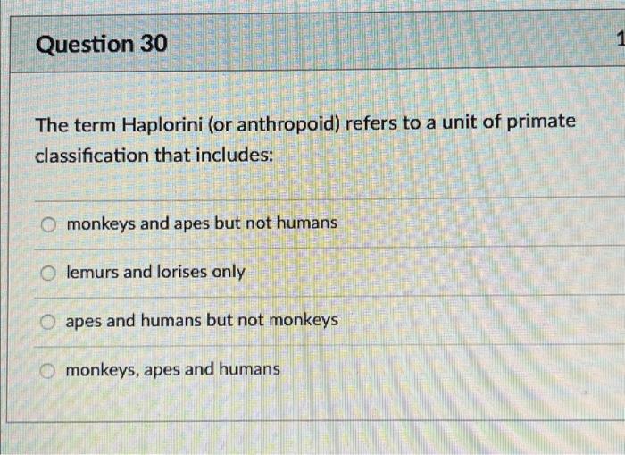 Question 30 The Term Haplorini Or Anthropoid Refers To A Unit Of Primate Classification That Includes O Monkeys And A 1
