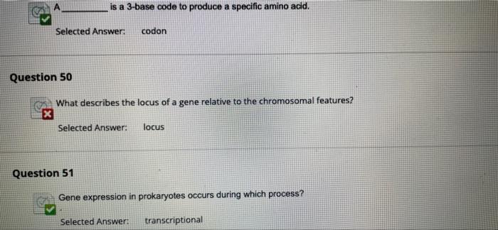 Selected Answer Codon Question 50 Is A 3 Base Code To Produce A Specific Amino Acid What Describes The Locus Of A Gene 1