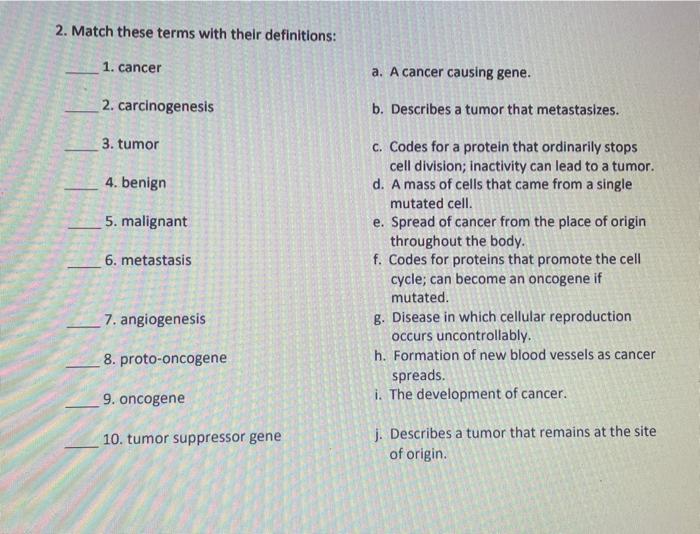 2 Match Each Term Below With Its Definition 1 G1 Checkpoint 2 G2 Checkpoint 3 Mitotic Checkpoint 4 P53 5 Apoptosi 2