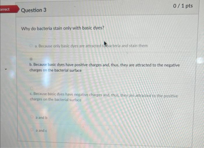 Orrect Question 3 Why Do Bacteria Stain Only With Basic Dyes A Because Only Basic Dyes Are Attracted To Bacteria And S 1