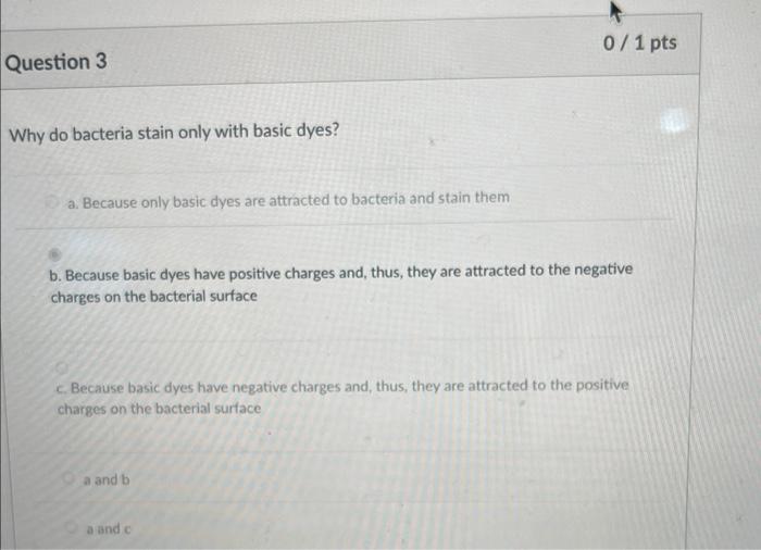 Question 3 Why Do Bacteria Stain Only With Basic Dyes A Because Only Basic Dyes Are Attracted To Bacteria And Stain Th 1