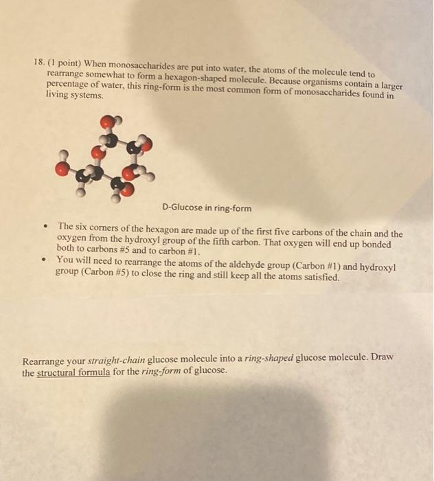 3 1 Point View Https Www Loom Com Share 6724acbf198e4092bbf51519d305d315 To See A Molecular Model Of The Molecule W 2