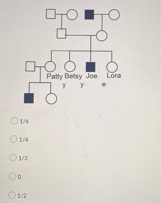 Joe Is Color Blind Rare Trait Both His Mother And Father Have Normal Vision But His Mother S Father Joe S Maternal 2