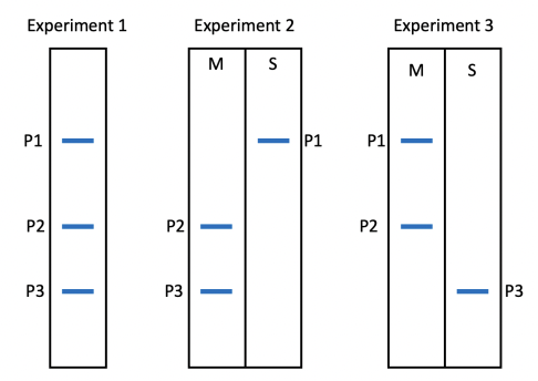 A Membrane Has Three Main Types Of Membrane Proteins Shown On The Diagram Below Integral Membrane Proteins A Are Embe 1