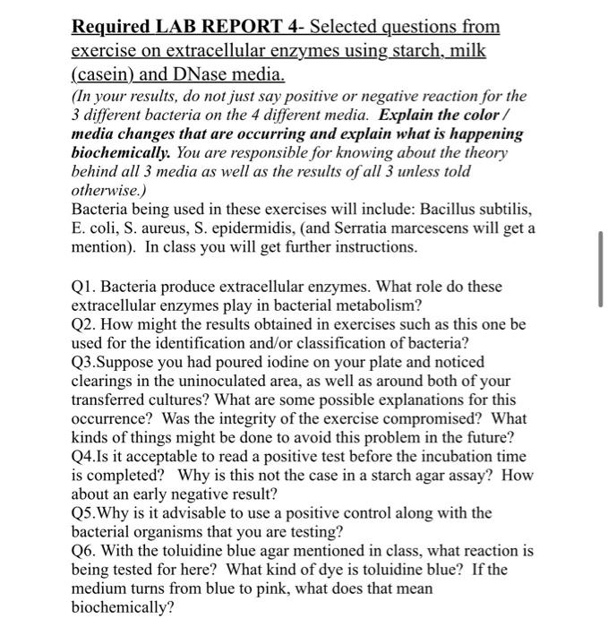 Required Lab Report 4 Selected Questions From Exercise On Extracellular Enzymes Using Starch Milk Casein And Dnase M 1
