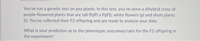 You Ve Run A Genetic Test On Pea Plants In This Test You Ve Done A Dihybrid Cross Of Purple Flowered Plants That Are T 1