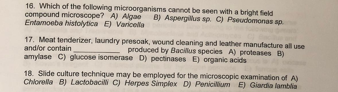 16 Which Of The Following Microorganisms Cannot Be Seen With A Bright Field Compound Microscope A Algae B Aspergillu 1