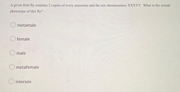 A Given Fruit Fly Contains 2 Copies Of Every Autosome And The Sex Chromosomes Xxxyy What Is The Sexual Phenotype Of Thi 1