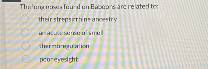 The Long Noses Found On Baboons Are Related To Their Strepsirrhine Ancestry An Acute Sense Of Smell 0000 Thermoregulati 1