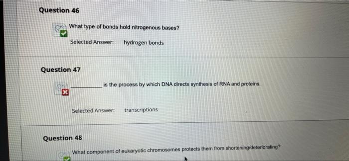 Question 46 What Type Of Bonds Hold Nitrogenous Bases Selected Answer Hydrogen Bonds Question 47 X Is The Process By W 1