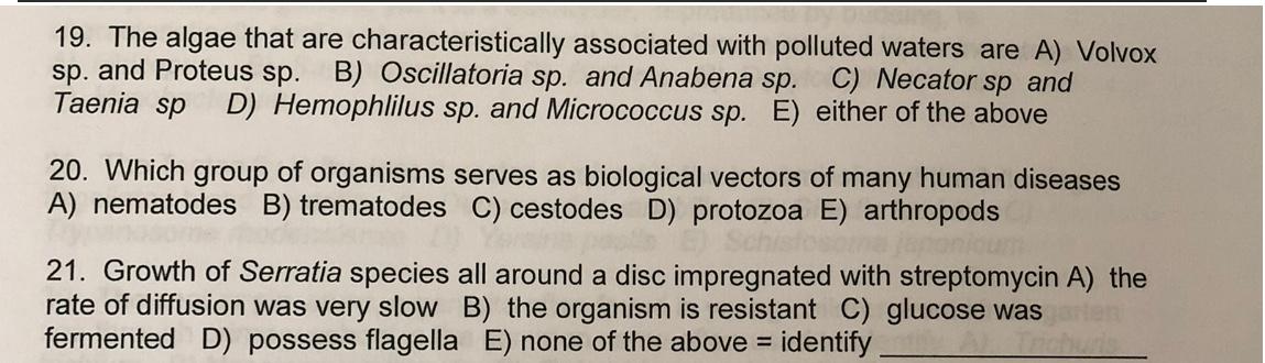 19 The Algae That Are Characteristically Associated With Polluted Waters Are A Volvox Sp And Proteus Sp B Oscillato 1