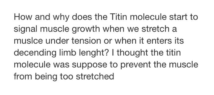 During Muscle Activation Ditin Hind S Calcium At Specific Sites Thereby Increasing Its Stiffness And Cross Bridge Att 3