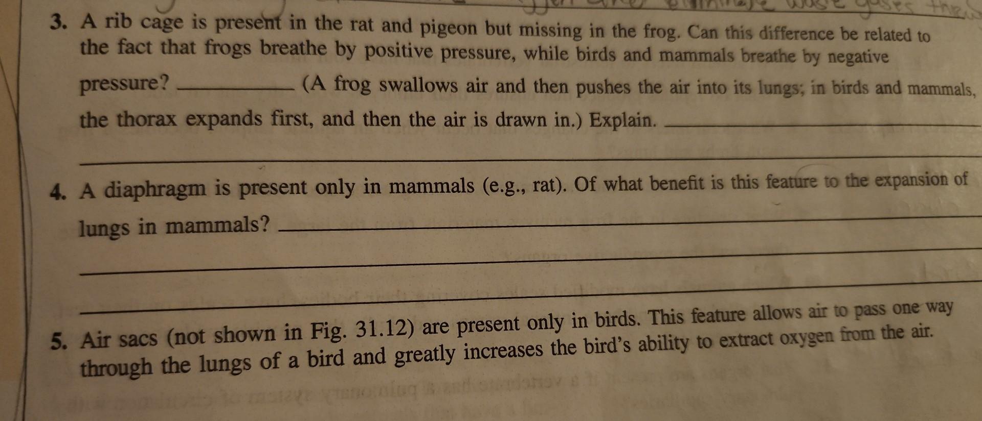 3 A Rib Cage Is Present In The Rat And Pigeon But Missing In The Frog Can This Difference Be Related To The Fact That 1