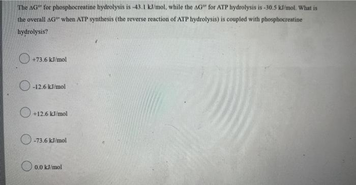Red Blood Cells Contain An Efficient Enzyme Carbonic Anhydrase Which Performs The Function Of Trapping Co And Which D 2