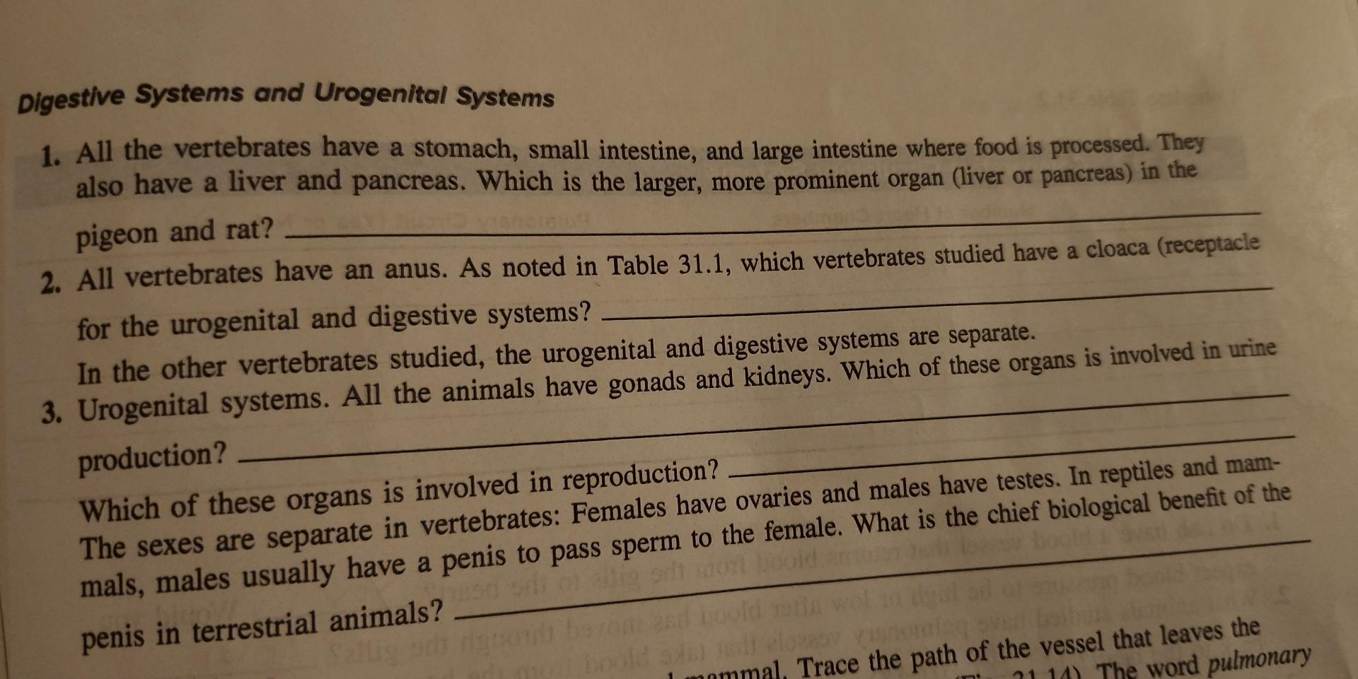 Digestive Systems And Urogenital Systems 1 All The Vertebrates Have A Stomach Small Intestine And Large Intestine Whe 1